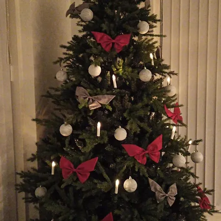 North Aurora - Near The Santa Claus